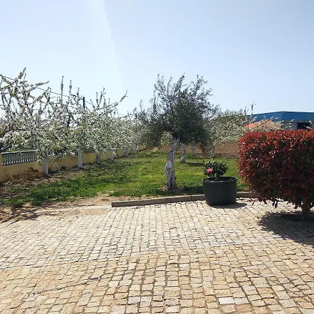 Joaquim Do Norte Podence