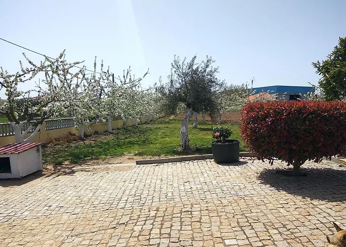 Joaquim Do Norte Podence