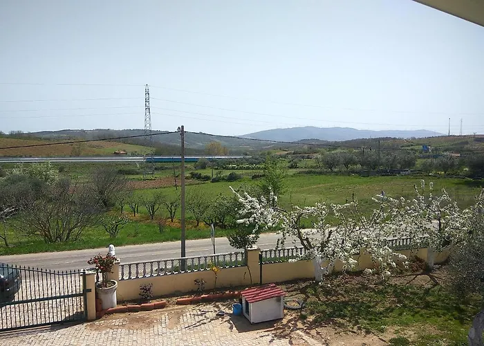 Joaquim Do Norte * Podence